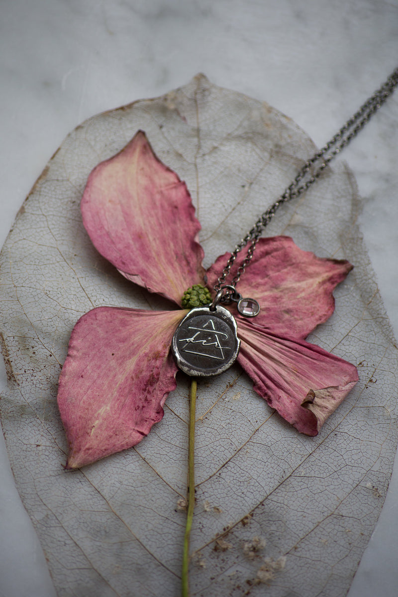 silver air sign medallion necklace on pink flower and leaf skeleton