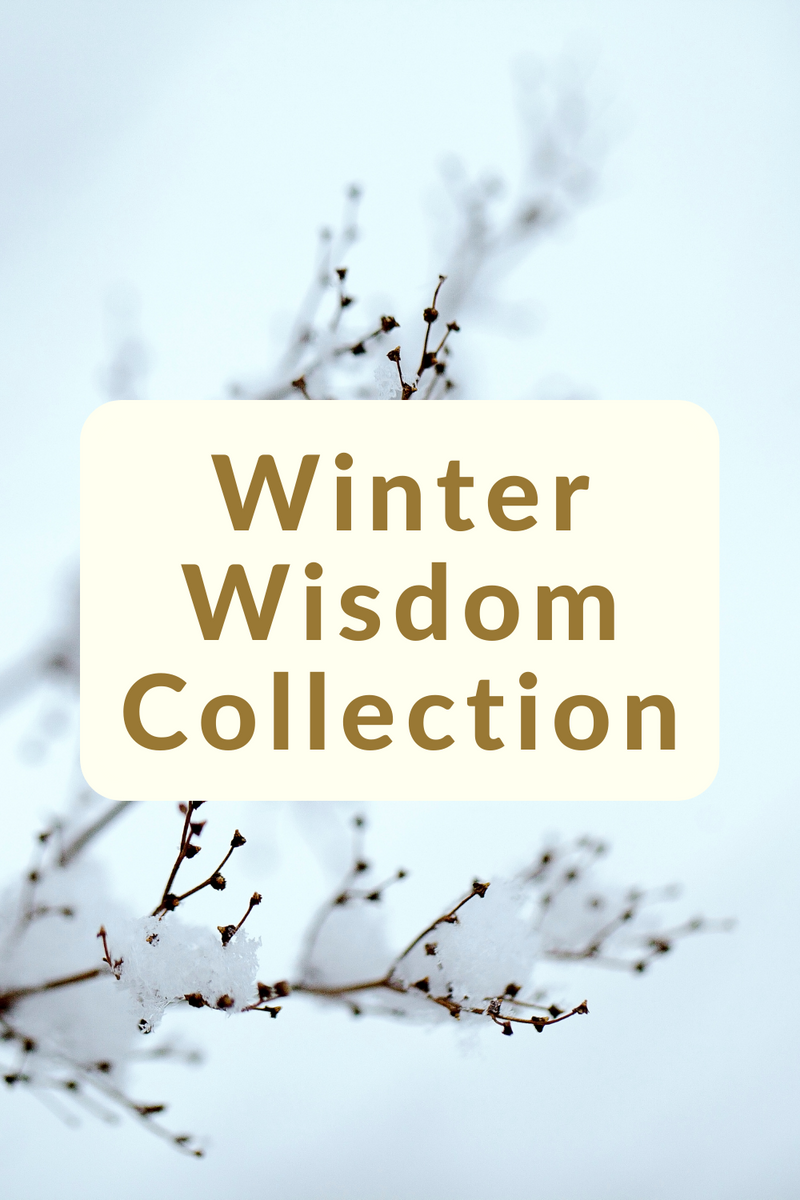 winter wisdom collection - healing crystal talisman necklaces for clarity, vision, and discernment