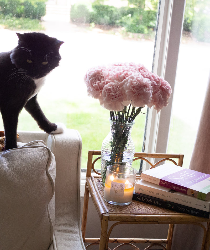 cat in front of a window with candle, books, flowers