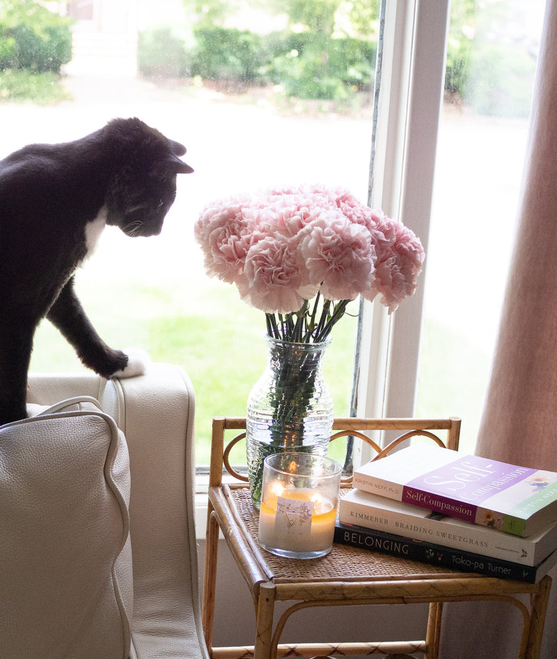 flowers, candle, books, cat