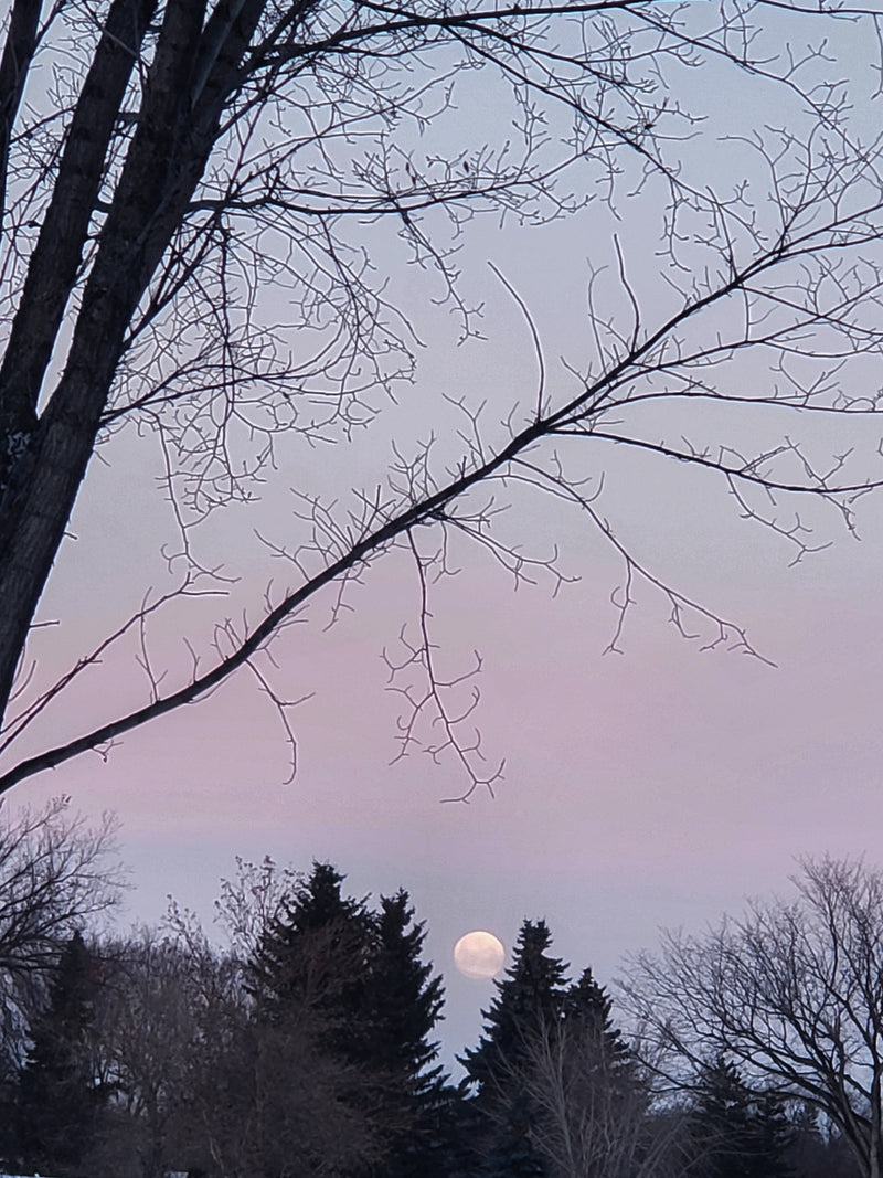 wintery landscape with full moon peeking through evergreen trees