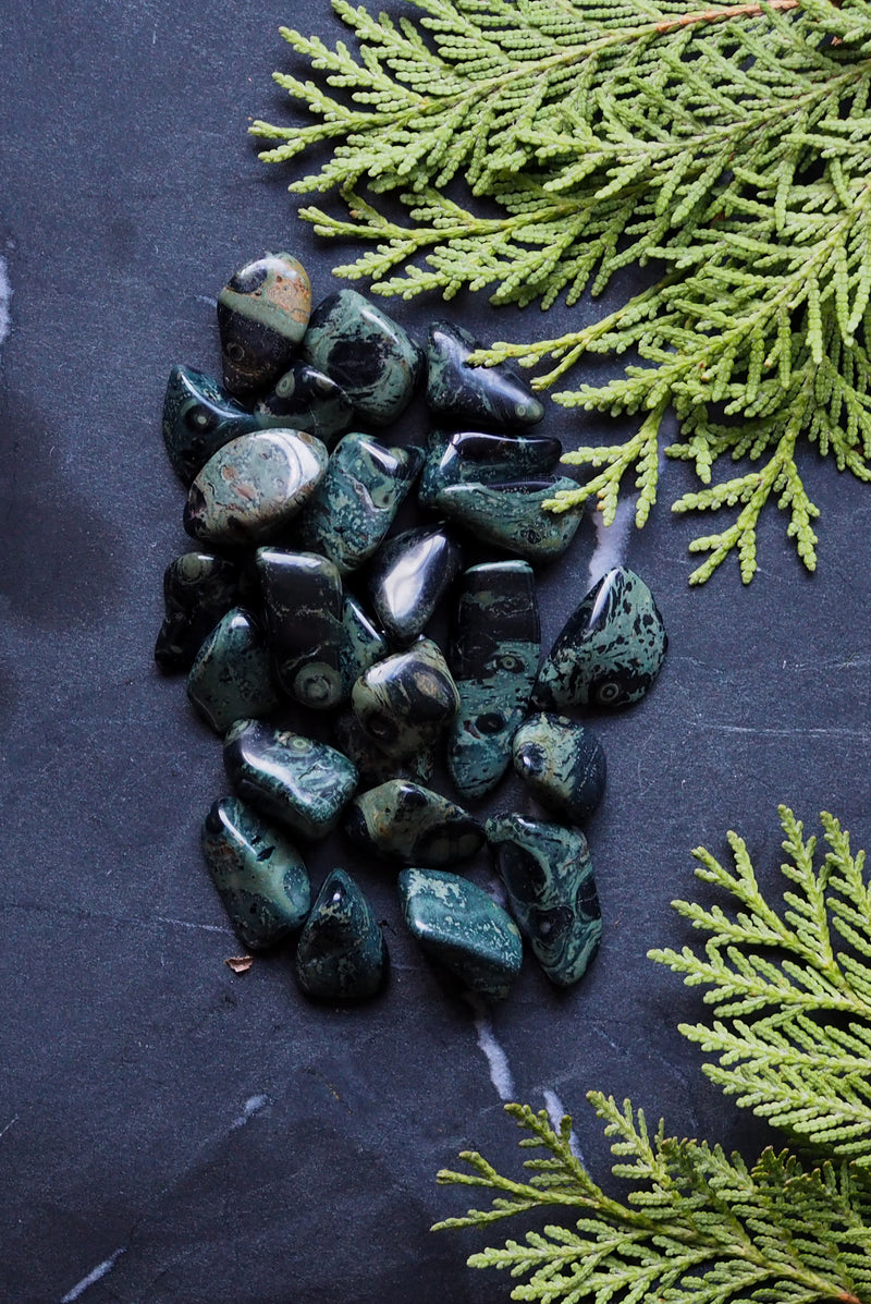 Kambaba Jasper- A Crystal Ally for Winter Solstice
