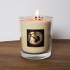 lit luxury sagittarius zodiac crystal infused intention candle