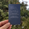 hand holding moon mantra oracle deck card in front of cedar shrub